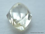 0.24 carat natural diamond out from a diamond mine. Silver cape VS1 Beautiful Mackle