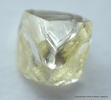 0.28 carat natural diamond out from a diamond mine. silver cape. flawless - clean diamond
