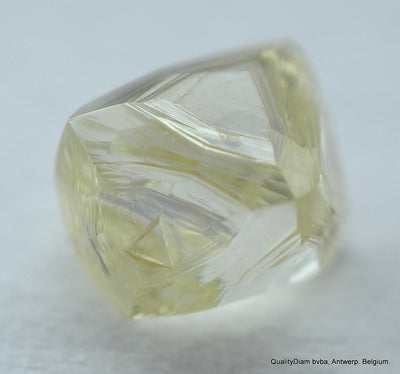 0.28 carat natural diamond out from a diamond mine. silver cape. flawless - clean diamond
