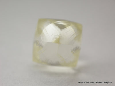 Rough Diamond