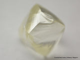 Rough Diamond