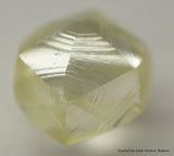 rough diamonds