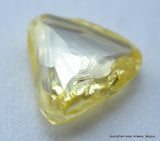 Vivid Fancy Yellow