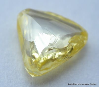 Vivid Fancy Yellow