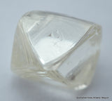 rough diamond 