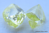 0.38 Carat beautiful diamonds intense fancy yellow rare natural diamonds mackles