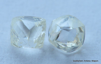 Rare white diamonds out from diamond mines. natural, uncut gemstones