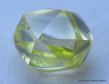 Intense fancy yellow 0.35 carat natural diamond uncut rough genuine diamond