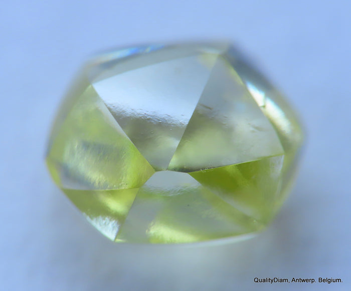 Intense fancy yellow 0.35 carat natural diamond uncut rough genuine diamond