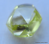 Intense fancy yellow 0.35 carat natural diamond uncut rough genuine diamond