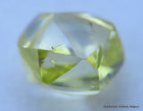 Intense fancy yellow 0.35 carat natural diamond uncut rough genuine diamond