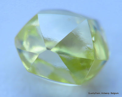 Intense fancy yellow 0.35 carat natural diamond uncut rough genuine diamond