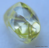Intense fancy yellow 0.34 carat natural diamond uncut rough genuine diamond