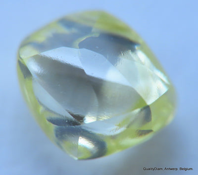 Intense fancy yellow 0.34 carat natural diamond uncut rough genuine diamond
