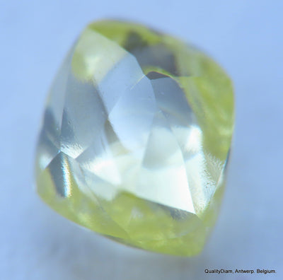 Intense fancy yellow 0.34 carat natural diamond uncut rough genuine diamond