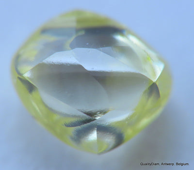 Intense fancy yellow 0.34 carat natural diamond uncut rough genuine diamond