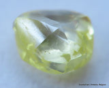 Beautiful diamond intense fancy yellow rare natural diamond mackle