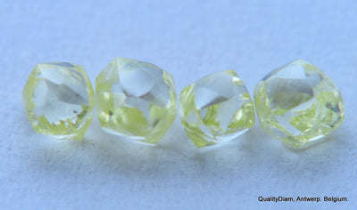 Fancy yellow uncut diamonds out diamond mines, natural diamonds real diamonds