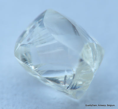 H Flawless natural diamond uncut raw rough diamond 0.37 carat precious gemstone