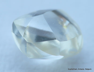 H VVS1 High Quality Genuine Diamond Out From A Diamond Mine Uncut Rough Diamond