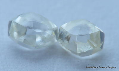 H VVS1 ROUGH DIAMONDS OUT DIAMOND MINES, NATURAL DIAMONDS, GENUINE DIAMONDS