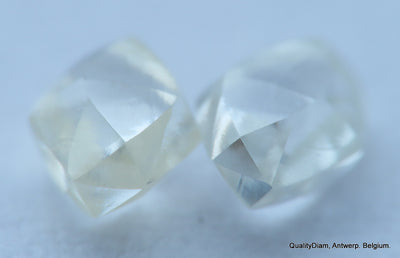 H VVS1 ROUGH DIAMONDS OUT DIAMOND MINES, NATURAL DIAMONDS, GENUINE DIAMONDS
