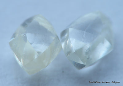 H VVS1 ROUGH DIAMONDS OUT DIAMOND MINES, NATURAL DIAMONDS, GENUINE DIAMONDS