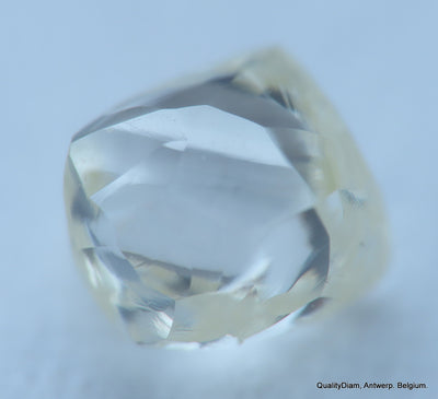 H Flawless natural diamond uncut raw rough diamond. A precious Gemstone
