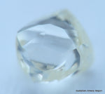 H Flawless natural diamond uncut raw rough diamond. A precious Gemstone