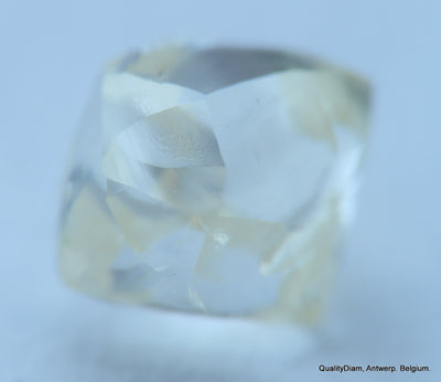 H Flawless natural diamond uncut raw rough diamond. A precious Gemstone