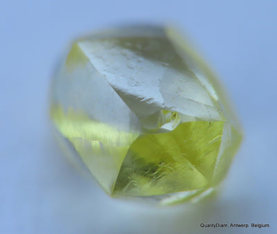 Intense fancy yellow rare natural diamond out diamond mine.