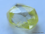 Intense fancy yellow rare natural diamond out diamond mine.