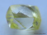 Intense fancy yellow rare natural diamond out diamond mine.