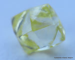 Fancy yellow 0.27 carat natural diamond uncut rough genuine diamond out mine