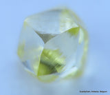 Fancy yellow 0.27 carat natural diamond uncut rough genuine diamond out mine