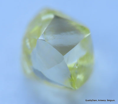 Fancy yellow 0.27 carat natural diamond uncut rough genuine diamond out mine