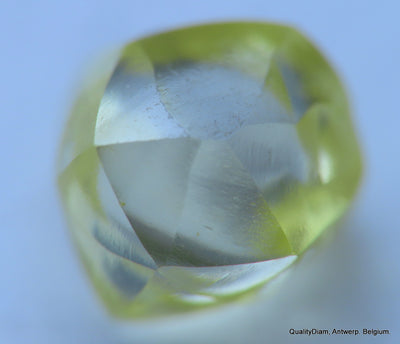 Intense Fancy Yellow flawless - clean natural diamond out from diamond mine