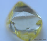 Intense Fancy Yellow flawless - clean natural diamond out from diamond mine