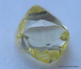 Intense Fancy Yellow flawless - clean natural diamond out from diamond mine