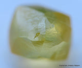 Uncut diamond out diamond mine, buy now & enjoy lifetime as a diamond is forever