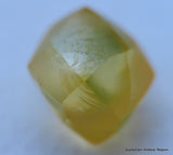 Uncut diamond out diamond mine, buy now & enjoy lifetime as a diamond is forever