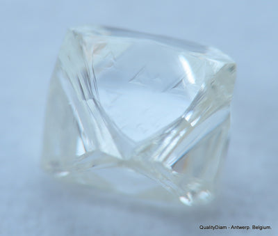 E Flawless, top end gemstone full white natural diamond out from a diamond mine