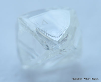 Flawless, top end gemstone full white natural diamond out from a diamond mine