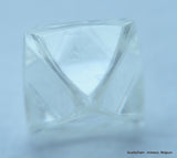 E Flawless, top end gemstone full white natural diamond out from a diamond mine