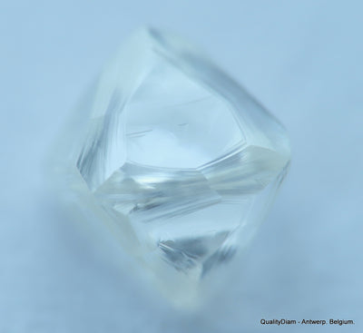 E Flawless, top end gemstone full white natural diamond out from a diamond mine