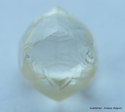 1.03 CARAT NATURAL DIAMOND WITH RARE CHARACTERS ON SURFACE, OUT FROM A DIAMOND