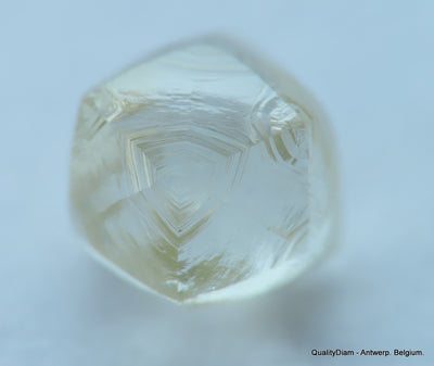 1.03 CARAT NATURAL DIAMOND WITH RARE CHARACTERS ON SURFACE, OUT FROM A DIAMOND