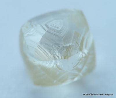 1.03 CARAT NATURAL DIAMOND WITH RARE CHARACTERS ON SURFACE, OUT FROM A DIAMOND