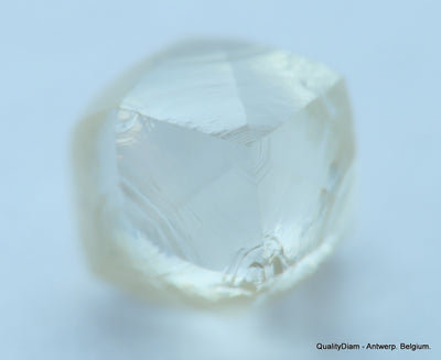 1.03 CARAT NATURAL DIAMOND WITH RARE CHARACTERS ON SURFACE, OUT FROM A DIAMOND