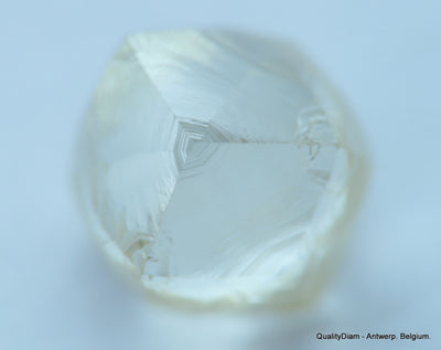 1.03 CARAT NATURAL DIAMOND WITH RARE CHARACTERS ON SURFACE, OUT FROM A DIAMOND